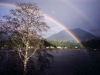 Rainbow over our harbour-600.jpg